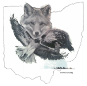 Ohio Wildlife Rehabilitators Association logo