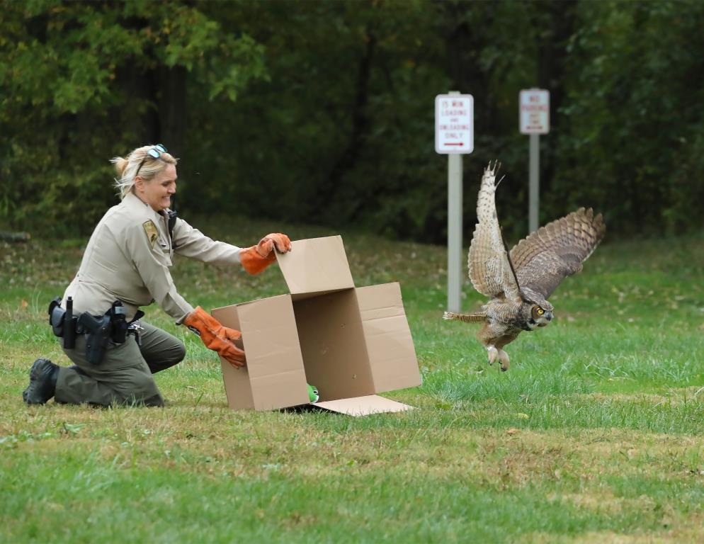 bird being released