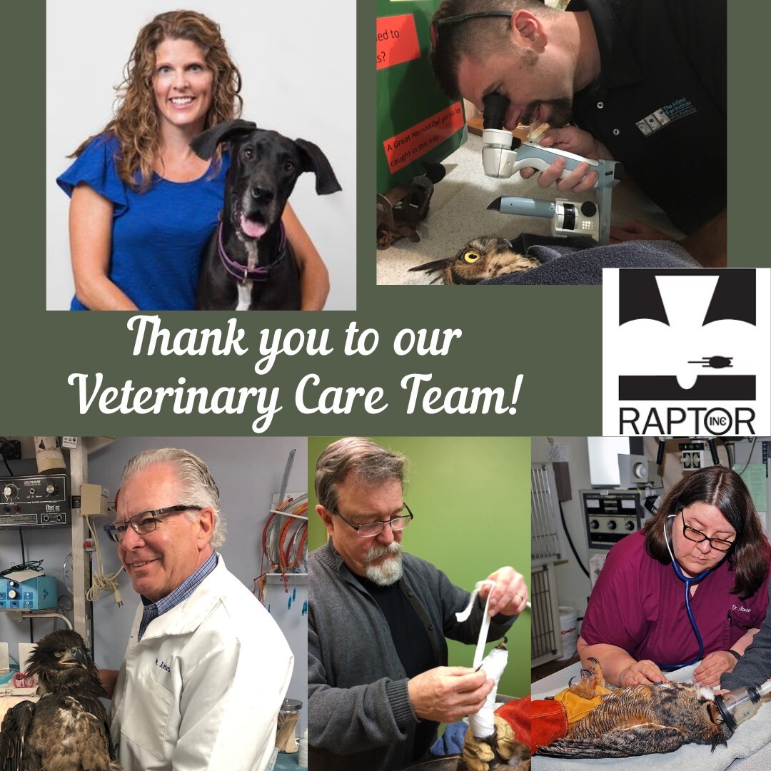 "Thank you to our Veterinary Team!" with collage of people on Veterinarian Team